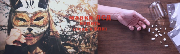 PSILOCYBIN Верея
