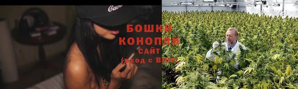 PSILOCYBIN Верея