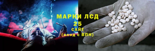 сатива Бородино