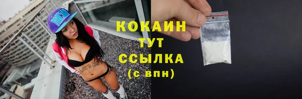 PSILOCYBIN Верея