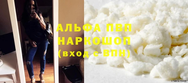 PSILOCYBIN Верея