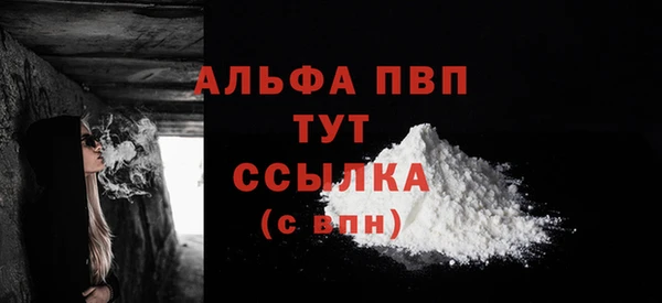 PSILOCYBIN Верея
